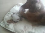 2008100512250000.JPG