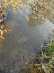 DSCN7160.JPG