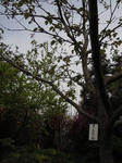 DSCN7163.JPG