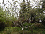 DSCN7164.JPG