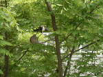 DSCN7165.JPG