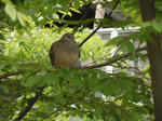 DSCN7167.JPG