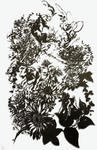 k028_big.jpg