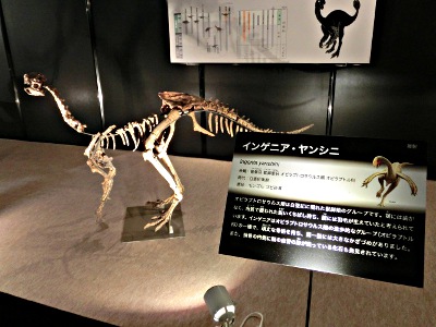 20120814_17.JPG