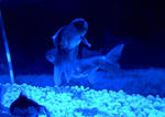 DSCN77941.JPG