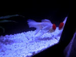 DSCN78011.JPG