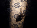 DSCN78791.JPG