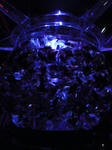 DSCN79311.JPG