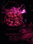 DSCN78961.JPG