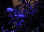 DSCN79721.JPG
