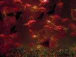 DSCN79731.JPG
