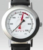 odakyu_watch