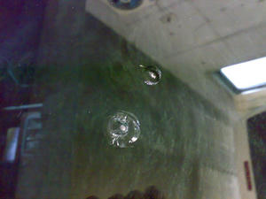 201003161239.jpg