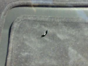 201005121282.jpg