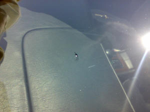 201005221287.jpg