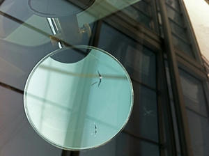 IMG_0590.jpeg