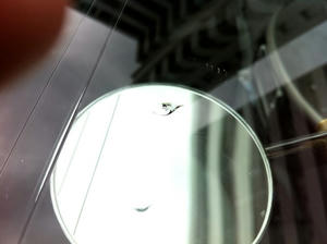 IMG_0898.jpeg