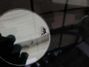 IMG_2024.jpeg
