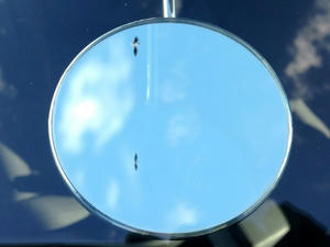 IMG_2060.jpeg