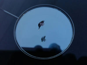 IMG_2082.jpeg