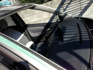 IMG_2091.jpeg
