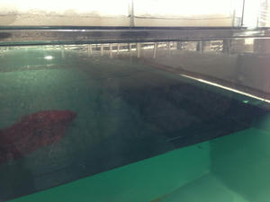 IMG_2860.jpg