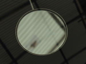 IMG_3070.jpg