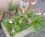 DSC00049.JPG
