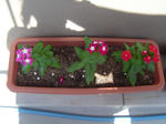 DSC01108.JPG