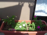 DSC01109.JPG