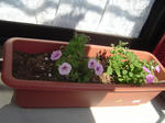 DSC01110.JPG