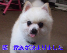 駆