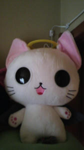 2010032514540000.JPG