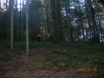 DSCN9920.JPG