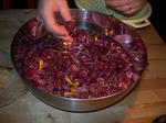 DSCN9925.JPG