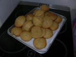 DSCN4750.JPG
