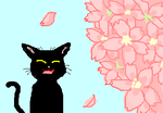 fimg_1237988108.png
