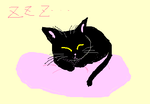 fimg_1241442816.png