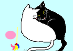 fimg_1244985075.png