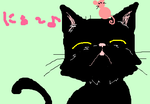 fimg_1256642007.png