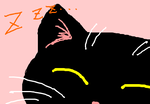 fimg_1304428758.png