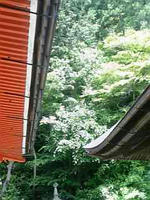 清水２