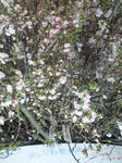 120323_183851.jpg