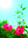 flower003_240320.jpg