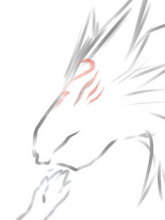 わん･･･にゃんこ