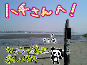 080525-1.jpg