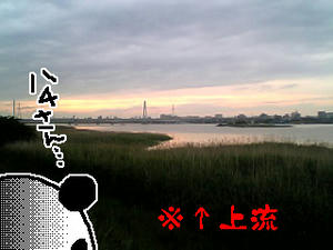 080525-2.jpg