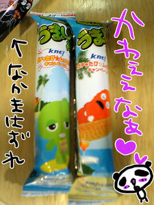 080627-2.JPG