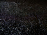 DSCF9208.jpg