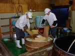 Tomegama05.jpg